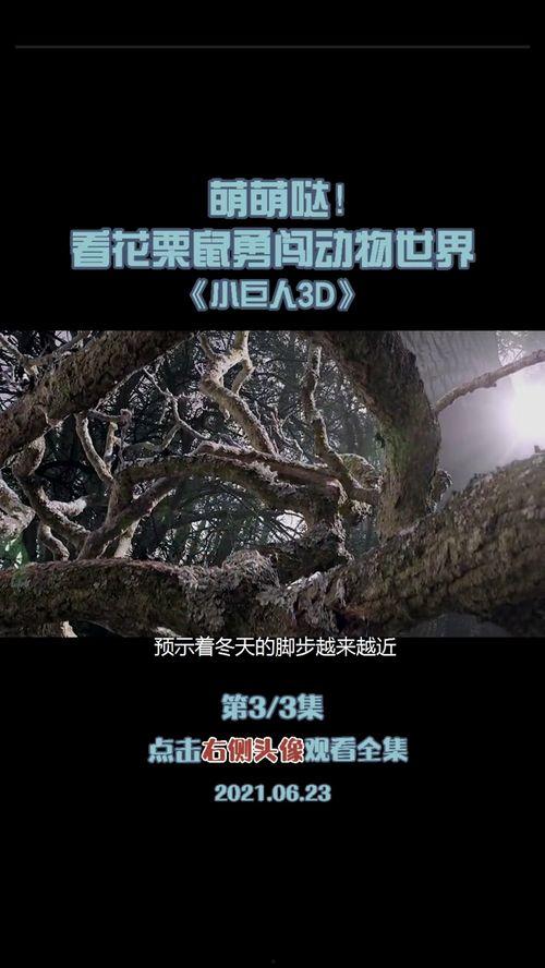 小巨人纪录片免费观看,揭秘中国制造业崛起的奇迹