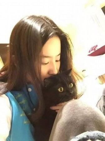 明星高咪,闪耀星途，璀璨人生