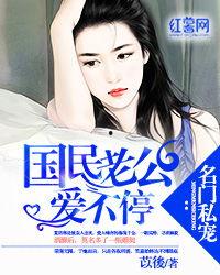国民老公爱不停全文,豪门恋曲的甜蜜纠葛