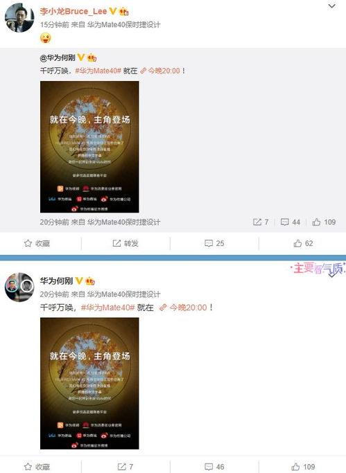 精选视频爆料,精选爆料带你探秘精彩瞬间