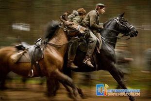 在线观看《战马》,跨越时空的英勇传奇