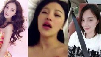 杨幂现状爆料视频,揭秘当红女星的真实生活片段