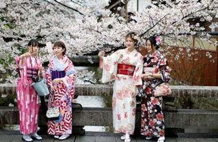 日本 icdv是什么,引领智能通信新潮流