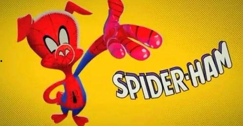 蜘蛛gif av,捕捉瞬间，揭秘神秘生物的灵动瞬间